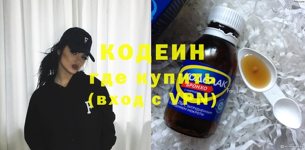 прущие грибы Осташков