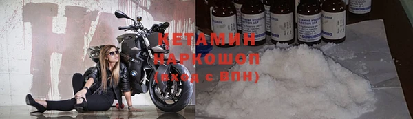 прущие грибы Осташков