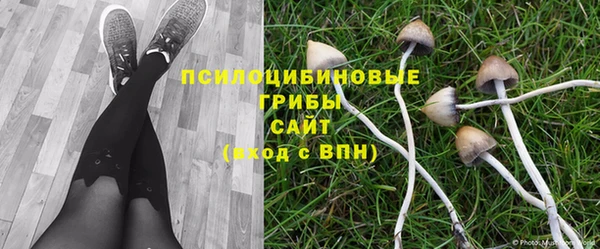 ГАЛЛЮЦИНОГЕННЫЕ ГРИБЫ Нязепетровск