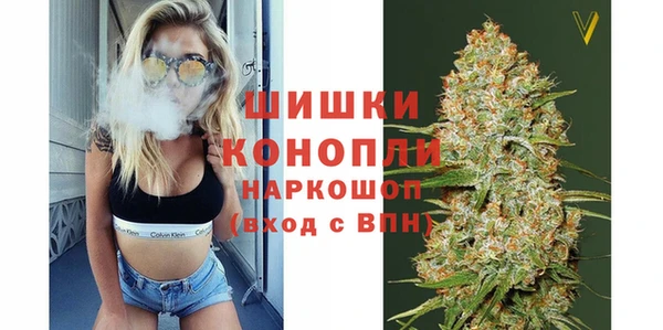 МДПВ Осинники