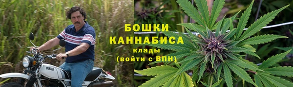 МДПВ Осинники