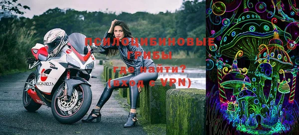 ГАЛЛЮЦИНОГЕННЫЕ ГРИБЫ Нязепетровск