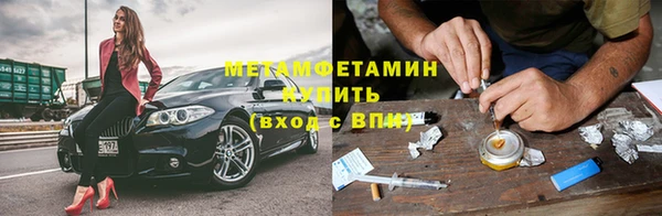 прущие грибы Осташков