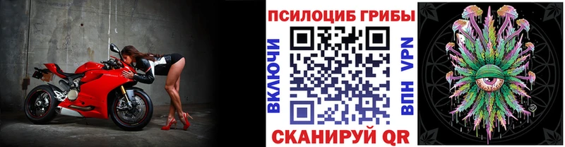 Галлюциногенные грибы ЛСД  Курильск 