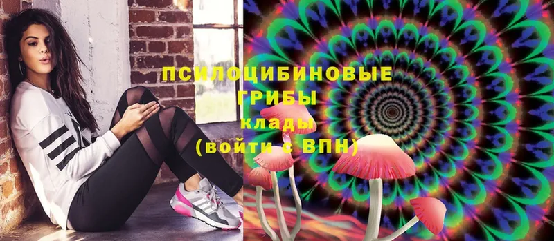 купить наркотик  Курильск  Псилоцибиновые грибы MAGIC MUSHROOMS 